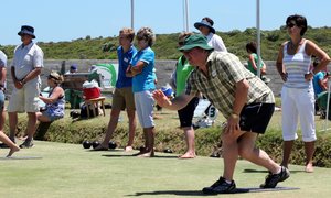 Helmie de Vriesdag 2014